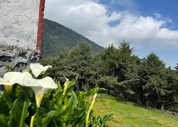 Rancho El Paraíso Ajusco