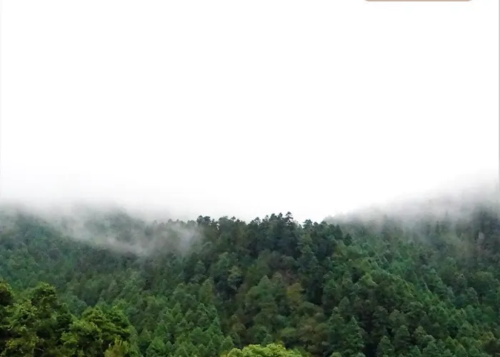 Rancho El Paraíso Ajusco